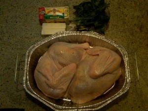 IMG00135-20101125-1015