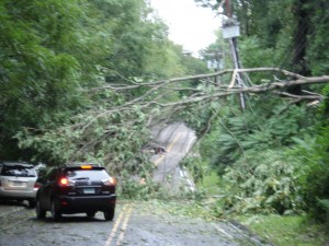 Hurrican Irene - Trees Down