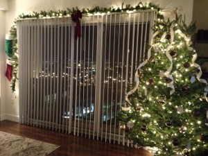 our tree