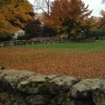 fall colors
